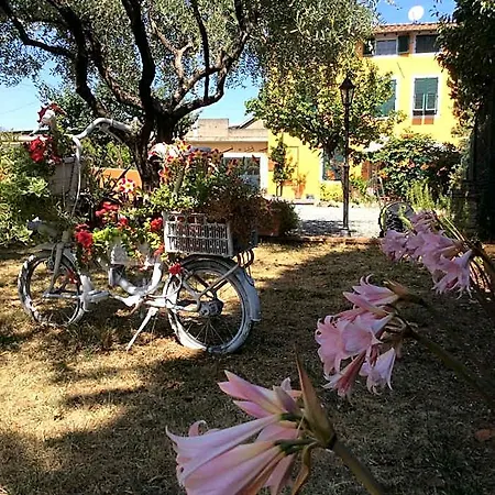 Lucca Fora 3*