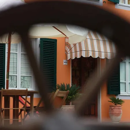 Lucca Fora Capannori