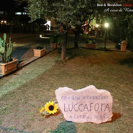 Lucca Fora