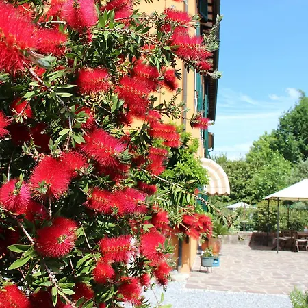 Bed & Breakfast Lucca Fora Capannori